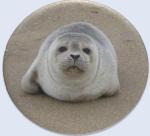 seal round button
