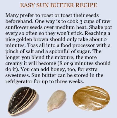 sunbutter-recipe
